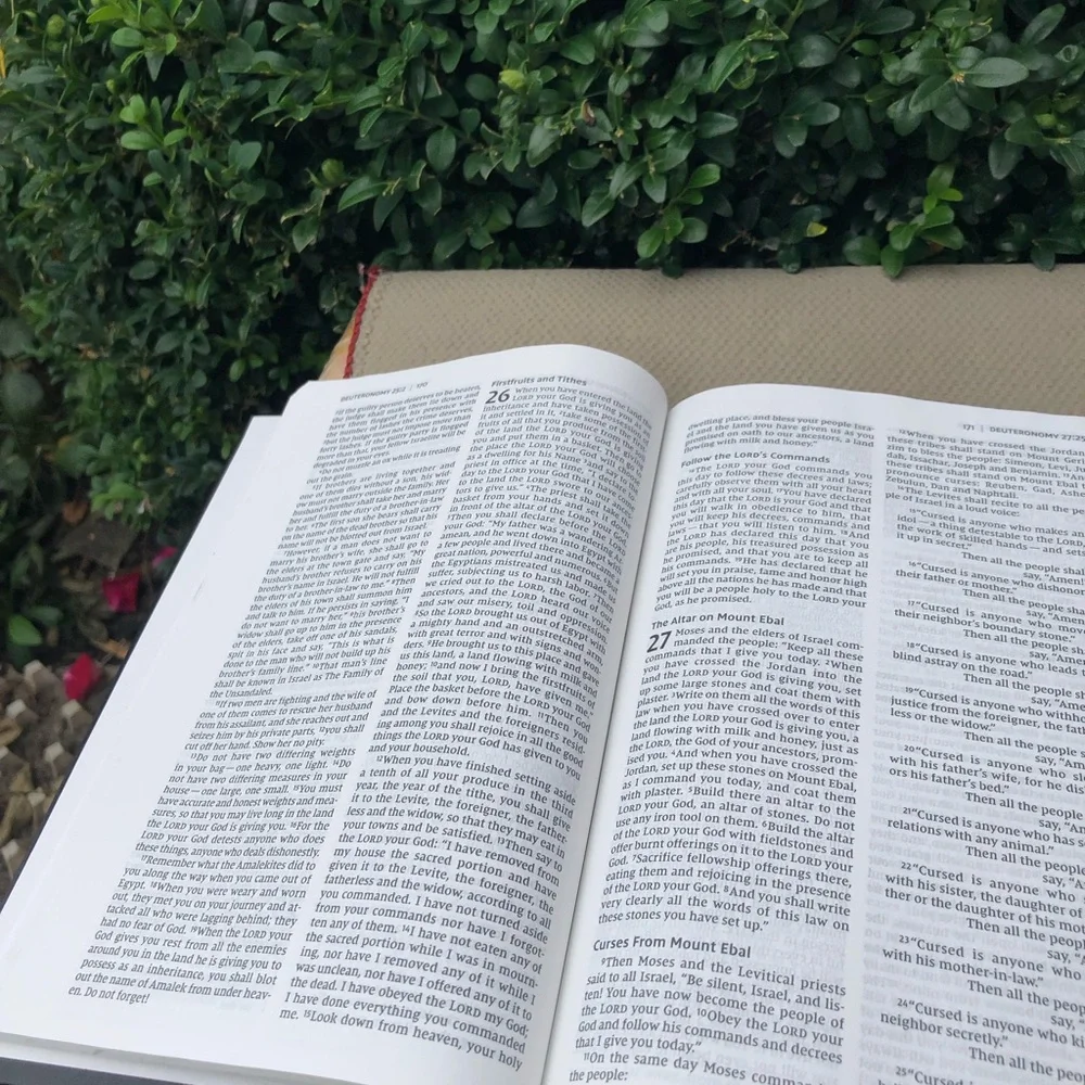 Holy Bible New International Version by Zondervan 2011